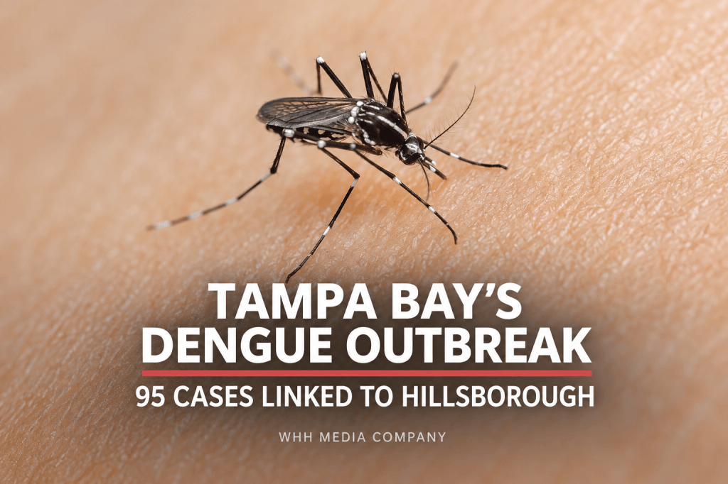 Aedes mosquito on human skin with text reading Tampa Bay’s Dengue Outbreak and 95 cases linked to Hillsborough.